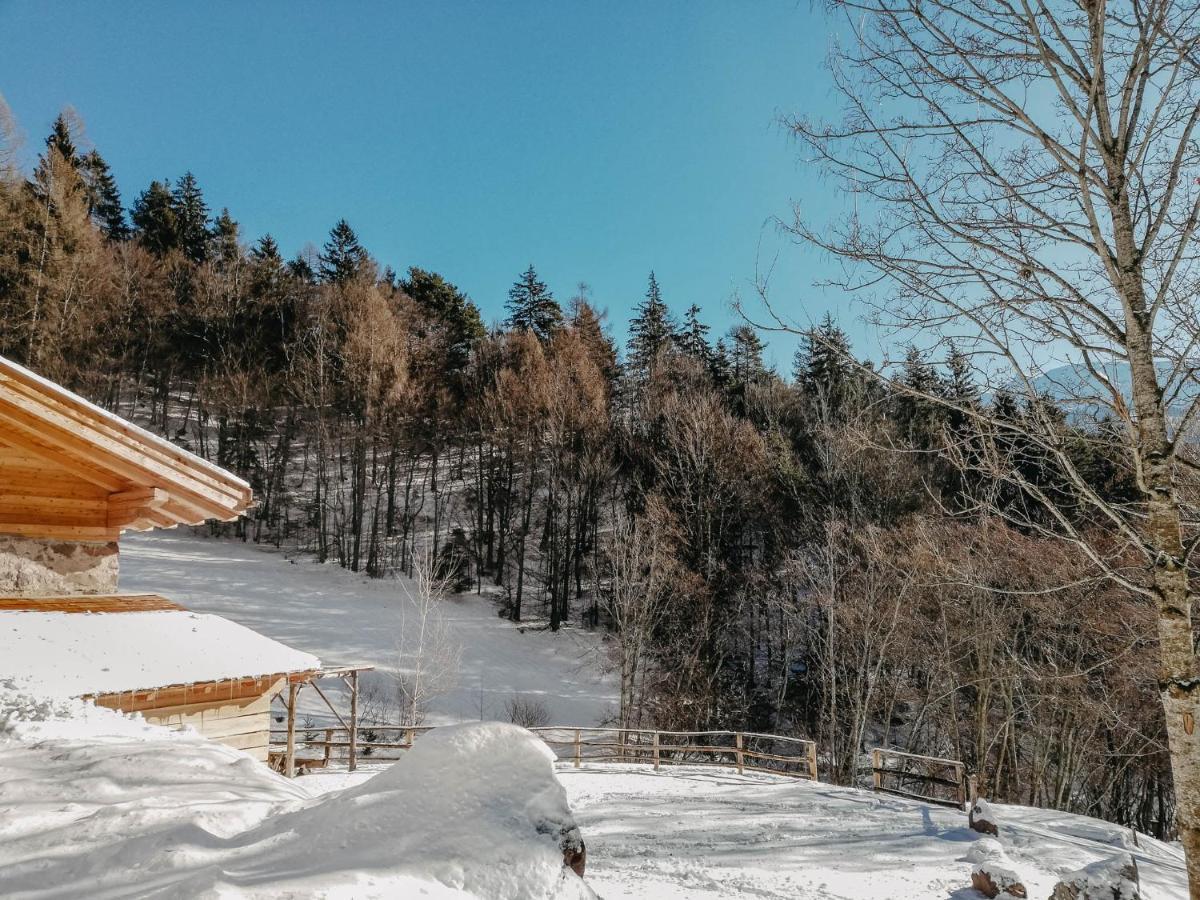 Sant'Orsola Odomi Maso Nel Bosco 빌라 외부 사진